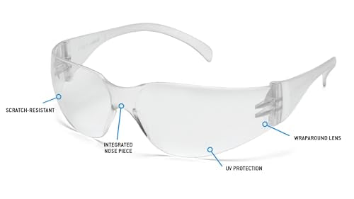 Pyramex Intruder Safety Eyewear Clear Frame Full Foam Padding Clear Anti-Fog Lens - color: Clear Lens/ Clear Frame, style: Standard