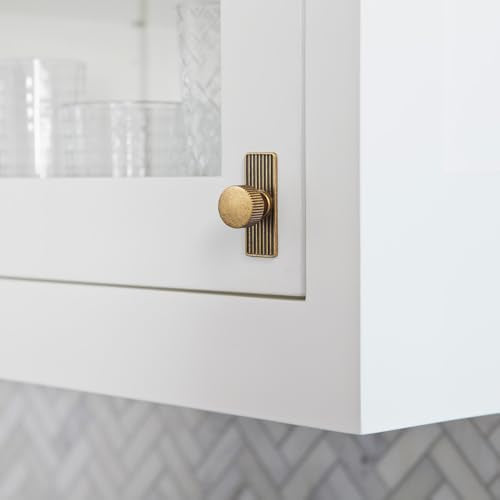 Goo-Ki Antique Brass Zinc Alloy Cabinet Knob with Backplate - Single Hole Center Cabinet Pull Hardware for Bedroom, Kitchen, 2 Pack(9596-G) - color: Antique Brass