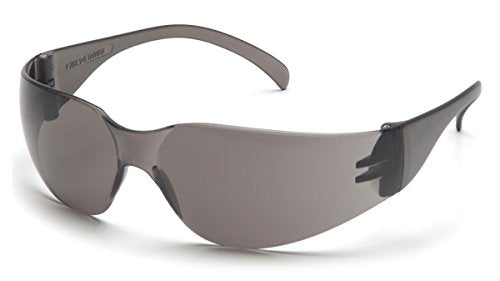 Pyramex Intruder Safety Eyewear Clear Frame Full Foam Padding Clear Anti-Fog Lens - color: Gray Lens/ Gray Frame, style: Standard