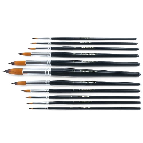 Transon 11pcs Round Paint Brush Basic Set for Watercolor, Acrylic, Gouache, Ink, and Tempera Painting (Pack of 3) - size: Round 11 PCS (Pack of 3)