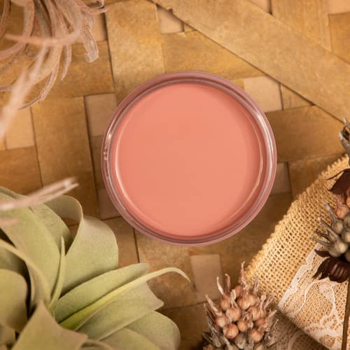 Dixie Belle Silk All-In-One Mineral Paint - Desert Rose (4oz) - color: Desert Rose, size: 4 Fl Oz (Pack of 1)