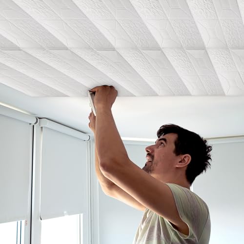 Nuanchu 20 Pcs 13.8 x 13.8 Inch Ceiling Tiles Peel and Stick, Mixed Style - color: Mixed Style, size: 13.8 x 13.8 Inch