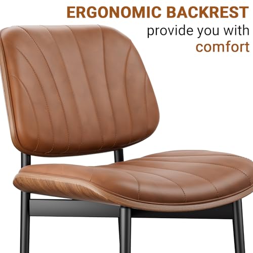 REONEY Dining Chairs Set of 4, Mid-Century Modern Kitchen Chairs, Camel - color: Camel Shell Strips