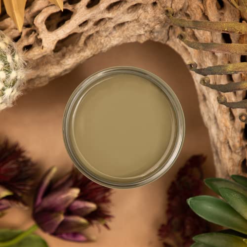 Dixie Belle Silk All-In-One Mineral Paint - Cactus (4oz) - color: Cactus, size: 4 Fl Oz (Pack of 1)