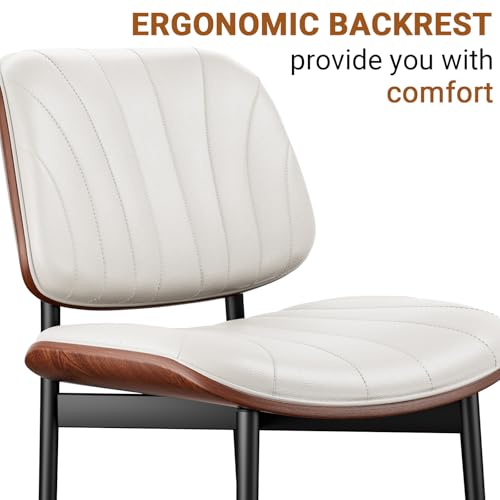 REONEY Dining Chairs Set of 4, Mid-Century Modern Kitchen Chairs, Off-White - color: Off-white Shell Strips