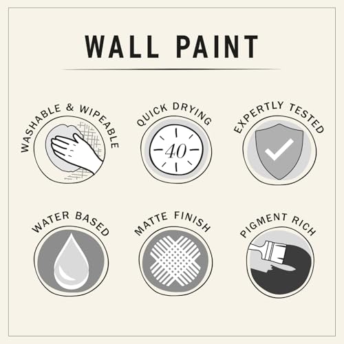 Annie Sloan Wall Paint (Graphite, 4 Fl Oz Tester) - color: Graphite, size: 4 Fl Oz (Pack of 1)
