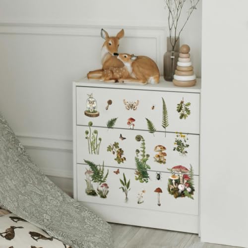 OLYCRAFT 3 Sheets/Set Plant Archives Rub on Transfers for Furniture and Crafts 6x12 Inch Ferns Mushrooms Furniture Decal Transfer Stickers Rub on Decal with 1pc Scraper for Wooden Home Wardrobe Decor - style: Fern