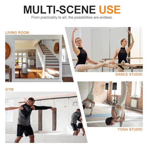 Delma Home Gym Mirror, 54''x30''x2PCS Silver - size: 54''x30''x2PCS