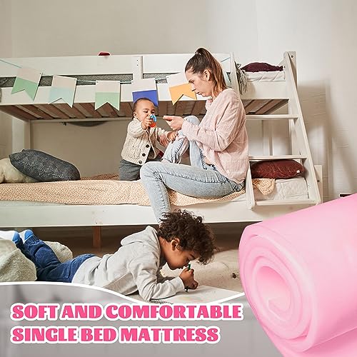 Amylove 1 Pack Upholstery Foam Sheet, 1/4" X 24" X 72",Pink - color: Pink, size: 1/4" X 24" X 72"