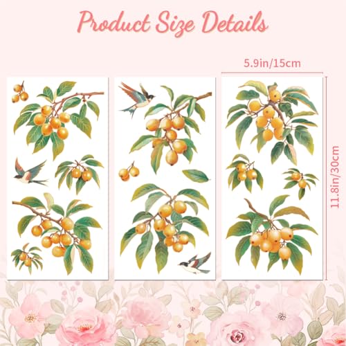 Peacoblue Chinese Aesthetic Loquat Rub On Transfers for Furniture 6"x12" - style: Chinese Aesthetic Loquat