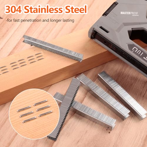 Heavy Duty T-50 304 Stainless Steel Staples 2184-Count 5 Sizes - size: 5 Sizes-2184 pcs