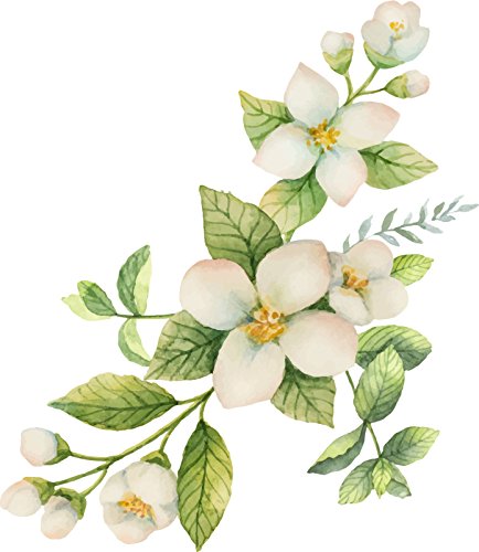 Pretty Floral White Spring Flower Watercolor Art - Arrangement Vinyl Decal Sticker (4" Tall) - size: 4" Tall