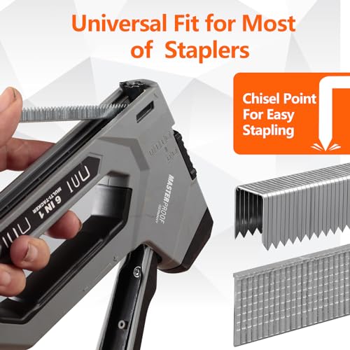 Heavy Duty T50 Staples 3/8" Length 3/8" Crown 5000 Pcs Galvanized - size: 3/8" - 5000 Count