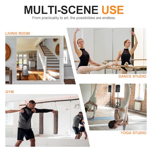 Delma Home Gym Mirror, 50''x25''x2PCS Silver Wall Mounted - size: 50''x25''x2PCS