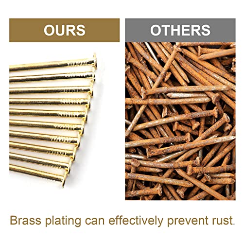 JEGONFRI 450PCS 1-1/4" x 16Ga Brass Plated Nails for Hanging Pictures - color: Gold, size: 1-1/4 In , 450 Pcs