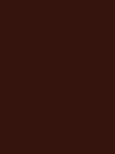 Design Master 12 oz Walnut Wood Tone Spray, Multicolor