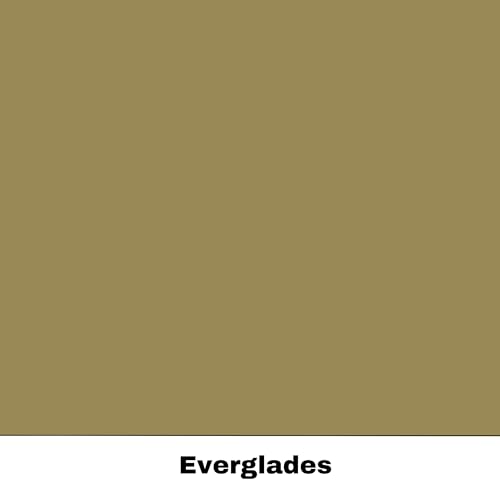 Dixie Belle Silk All-In-One Mineral Paint - Everglades (4oz) - color: Everglades, size: 4 Fl Oz (Pack of 1)