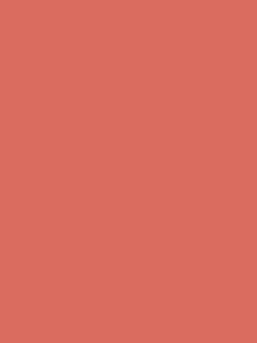 Design Master Salmon Design MASTR UBERMTT (552)