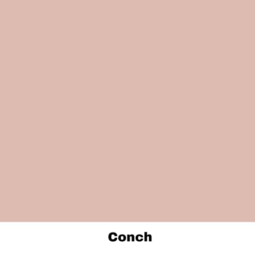 Dixie Belle Silk All-In-One Mineral Paint - Conch (4oz) - color: Conch, size: 4 Fl Oz (Pack of 1)