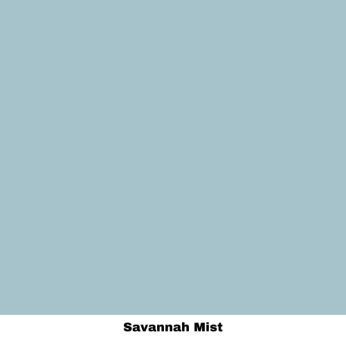 Dixie Belle Paint Company Chalk Mineral Paint - Savannah Mist (4oz) - color: Savannah Mist, size: 4 Fl Oz (Pack of 1)