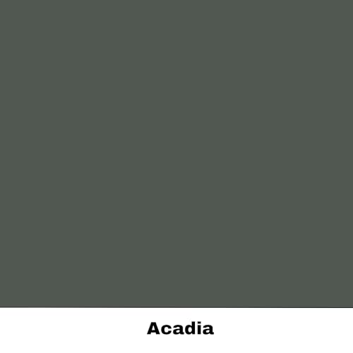 Dixie Belle Silk All-In-One Mineral Paint - Acadia (4oz) - color: Acadia, size: 4 Fl Oz (Pack of 1)