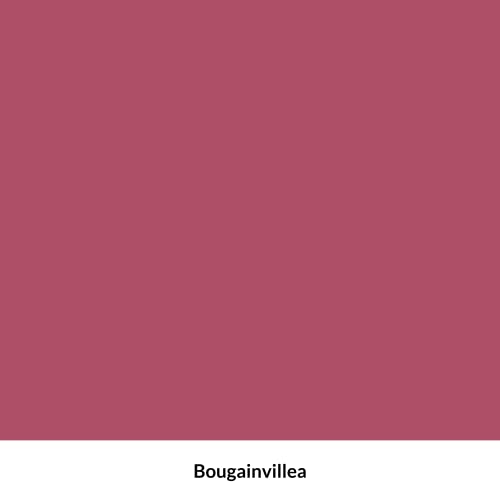 Dixie Belle Paint Company Terra Clay Paint - Bougainvillea (4oz) - color: Bougainvillea, size: 4 Fl Oz (Pack of 1)