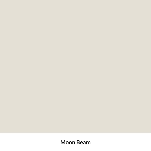 Dixie Belle Paint Company Terra Clay Paint - Moon Beam (4oz) - color: Moon Beam, size: 4 Fl Oz (Pack of 1)