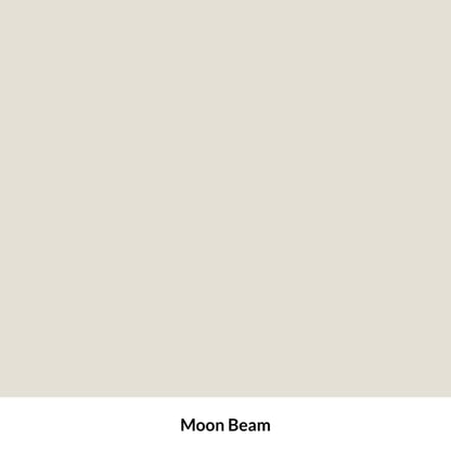 Dixie Belle Paint Company Terra Clay Paint - Moon Beam (4oz) - color: Moon Beam, size: 4 Fl Oz (Pack of 1)