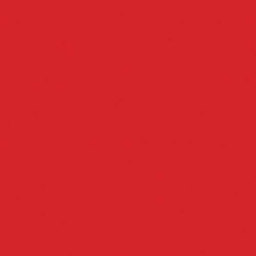 Liquitex Professional Spray Paint, 12-oz (400ml), Cad Red Light Hue - color: Cad Red Light Hue, size: 12 Ounce (Pack of 1)