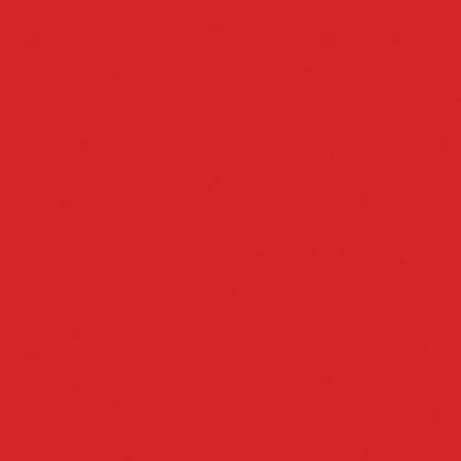 Liquitex Professional Spray Paint, 12-oz (400ml), Cad Red Light Hue - color: Cad Red Light Hue, size: 12 Ounce (Pack of 1)