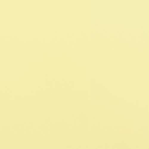 MARTHA STEWART Paint & Primer 8oz Spray Paint, Gloss Couscous (42890) - color: Gloss Couscous