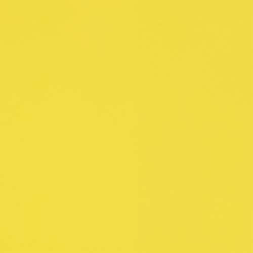 MARTHA STEWART Paint & Primer 8oz Spray Paint, Gloss Meyer Lemon Yellow (42891) - color: Gloss Meyer Lemon Yellow