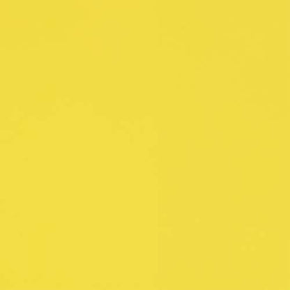 MARTHA STEWART Paint & Primer 8oz Spray Paint, Gloss Meyer Lemon Yellow (42891) - color: Gloss Meyer Lemon Yellow