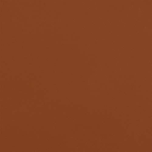 MARTHA STEWART Paint & Primer 8oz Spray Paint, Gloss Chestnut Brown 8 Fl Oz (42906) - color: Gloss Chestnut Brown