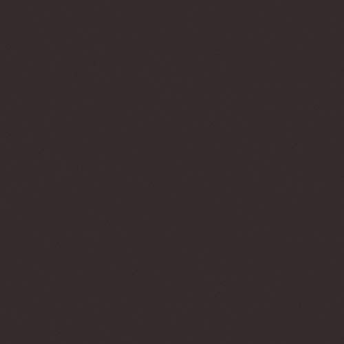 Liquitex Professional Spray Paint, 12-oz (400ml), Burnt Umber - color: Burnt Umber, size: 12 Ounce (Pack of 1)