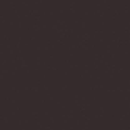 Liquitex Professional Spray Paint, 12-oz (400ml), Burnt Umber - color: Burnt Umber, size: 12 Ounce (Pack of 1)