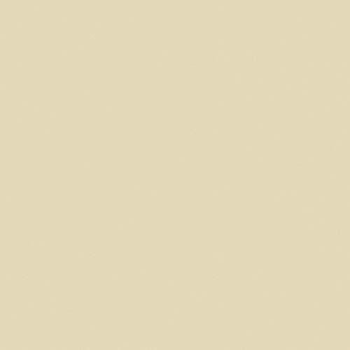 Liquitex Professional Spray Paint, 12-oz (400ml), Parchment - color: Parchment, size: 12 Ounce (Pack of 1)