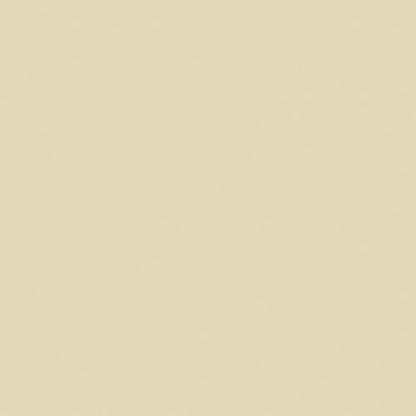 Liquitex Professional Spray Paint, 12-oz (400ml), Parchment - color: Parchment, size: 12 Ounce (Pack of 1)