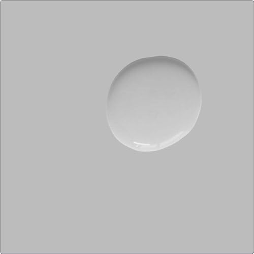 Annie Sloan Satin Paint (Chicago Grey, 25 Fl Oz/750 mL). Soft sheen for interior wood and metal. Self-leveling, all-in-one paint with no wax or lacquer required. - color: Chicago Grey