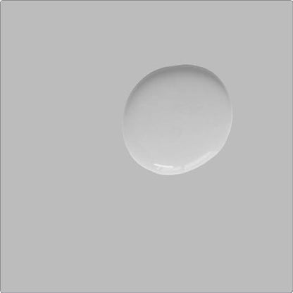 Annie Sloan Satin Paint (Chicago Grey, 25 Fl Oz/750 mL). Soft sheen for interior wood and metal. Self-leveling, all-in-one paint with no wax or lacquer required. - color: Chicago Grey