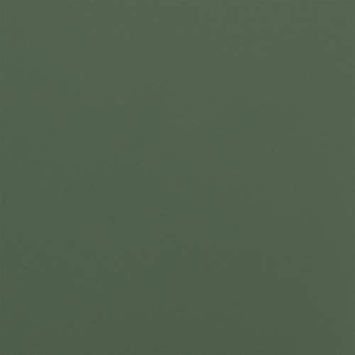 MARTHA STEWART Paint & Primer 8oz Spray Paint, Gloss Classroom Green (42897) - color: Gloss Classroom Green