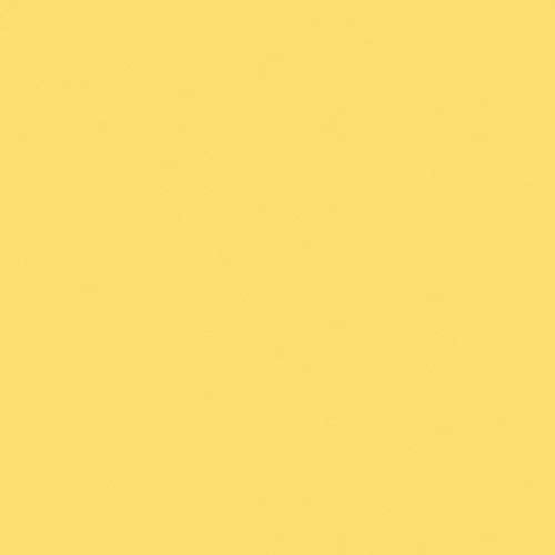 Liquitex Professional Spray Paint, 12-oz (400ml), Cad Yellow Light Hue - color: Cad Yellow Light Hue, size: 12 Ounce (Pack of 1)