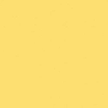 Liquitex Professional Spray Paint, 12-oz (400ml), Cad Yellow Light Hue - color: Cad Yellow Light Hue, size: 12 Ounce (Pack of 1)