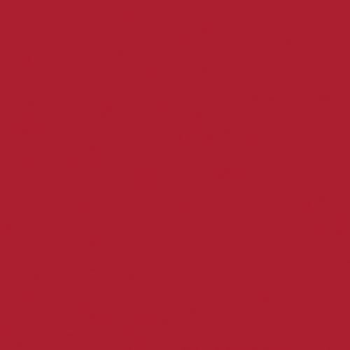 Liquitex Professional Spray Paint, 12-oz (400ml), Cad Red Deep Hue - color: Cad Red Deep Hue, size: 12 Ounce (Pack of 1)