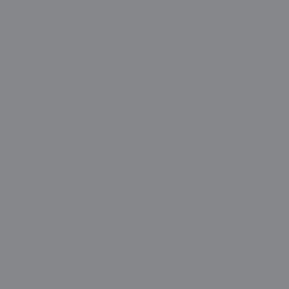 Liquitex Professional Spray Paint, 12-oz (400ml), Iridescent Rich Silver - color: Iridescent Rich Silver, size: 12 Ounce (Pack of 1)