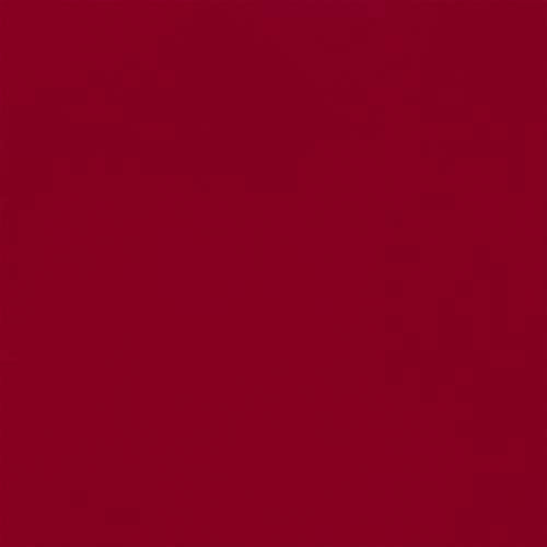 MARTHA STEWART Paint & Primer 8oz Spray Paint, Gloss Chipotle (42885) - color: Gloss Chipotle