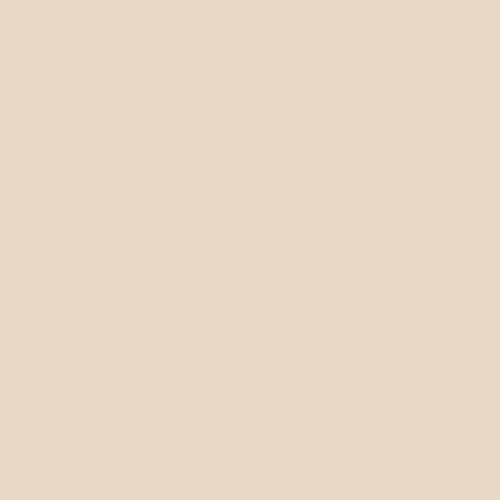 BEYOND PAINT Furniture, Cabinets and More All-in-One Refinishing Kit/Color- Off White - color: Off White