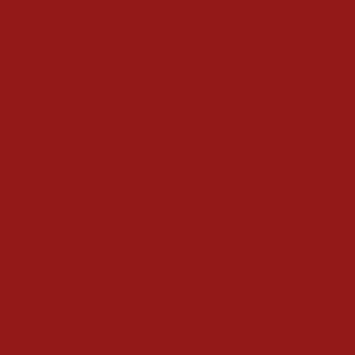 Krylon K02332001 Gloss Fusion for Plastic, 12 oz., Sun Dried Tomato - color: Sun Dried Tomato
