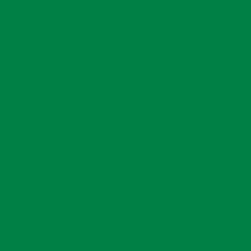 Krylon 2327 Fusion Spray Paint, Spring Grass - color: Spring Grass