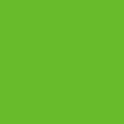 Liquitex Professional Spray Paint, 12-oz (400ml), Vivid Lime Green (Pack of 2) - color: Vivid Lime Green, size: 12 Ounce (Pack of 2)